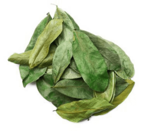 Wild Harvested Dried Soursop Leaves